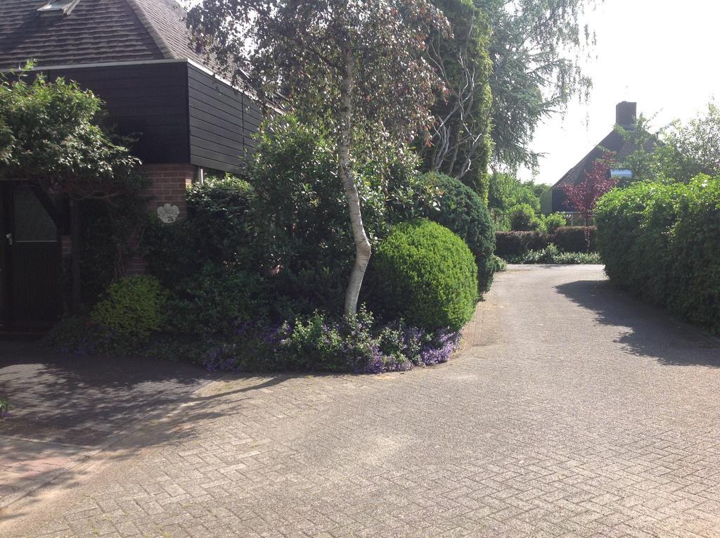 B&B Molenzicht Warnsveld Zewnętrze zdjęcie